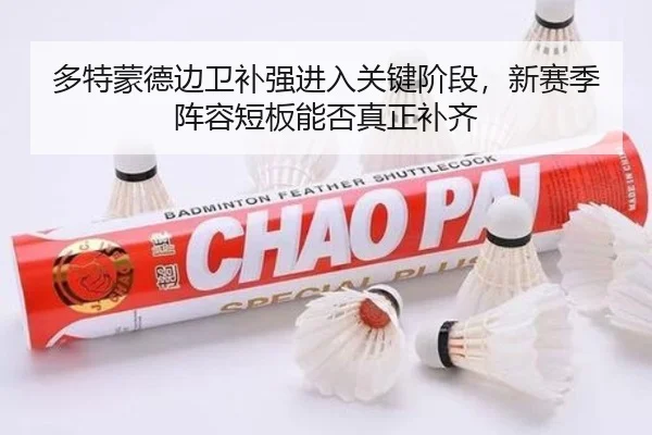 多特蒙德边卫补强进入关键阶段，新赛季阵容短板能否真正补齐